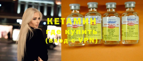 гидра Няндома