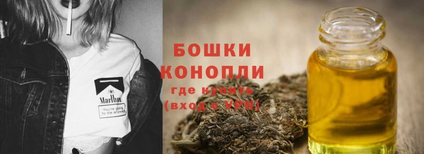 МДПВ Осинники