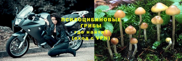 МДПВ Осинники