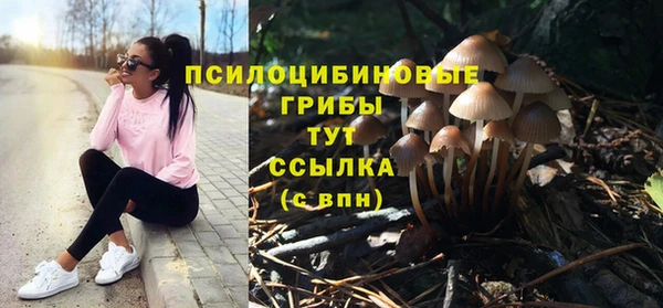 кокс Осташков