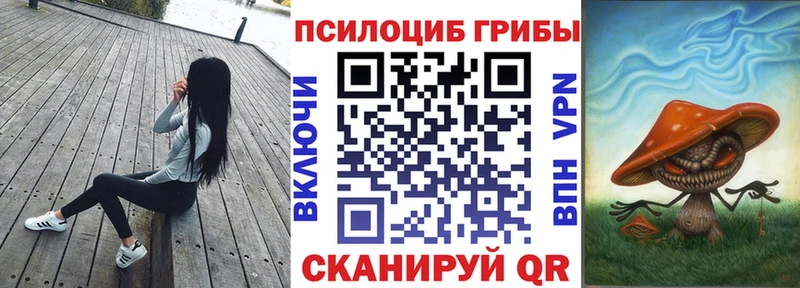 Галлюциногенные грибы Magic Shrooms  сколько стоит  Заречный 