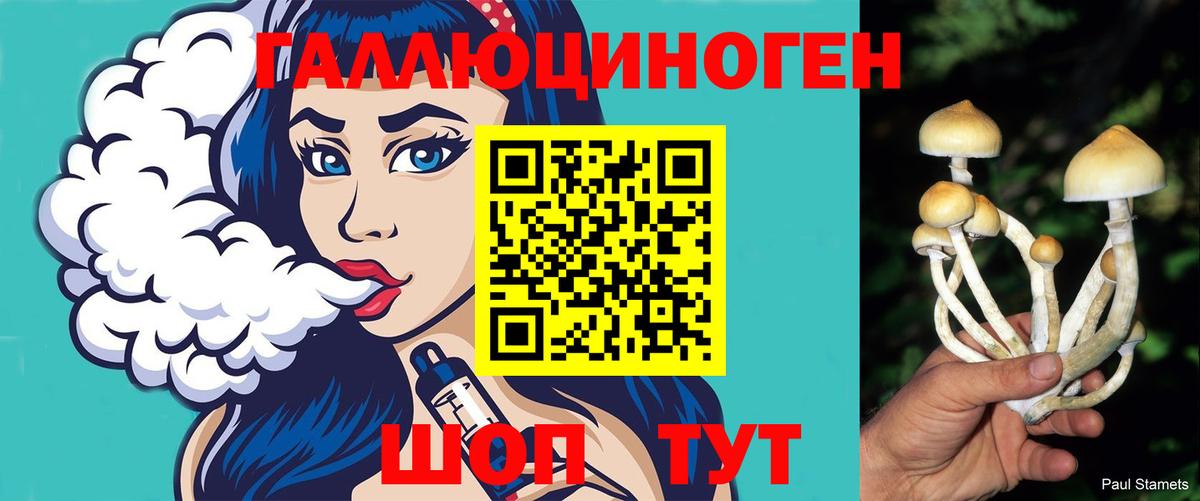 Галлюциногенные грибы Cubensis  Галлюциногенные грибы мицелий  Вход с VPN  Заречный 